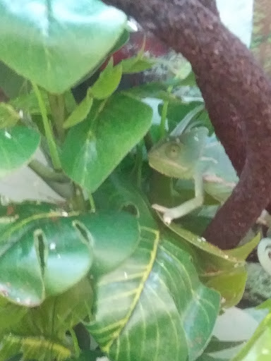 Pet Supply Store «Petco Animal Supplies», reviews and photos, 4175 Dowlen Rd, Beaumont, TX 77706, USA