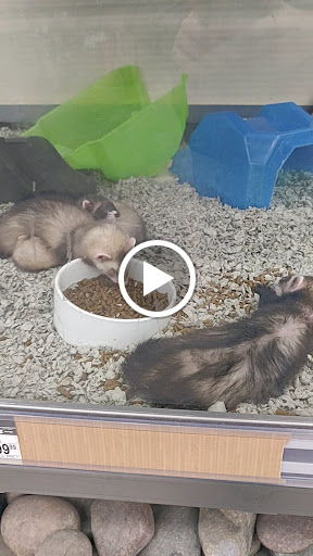 Pet Supply Store «Petco Animal Supplies», reviews and photos, 2911 W Main St, Bozeman, MT 59718, USA