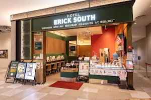 Erick South image