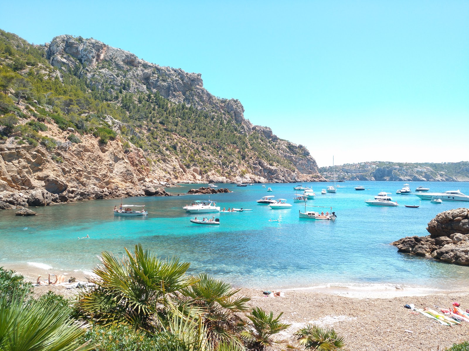 Cala D'egos的照片 带有小海湾