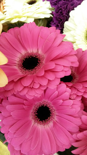 Florist «Sykes the Florist and Greenhouses», reviews and photos, 1300 Lawrence St, Lowell, MA 01852, USA