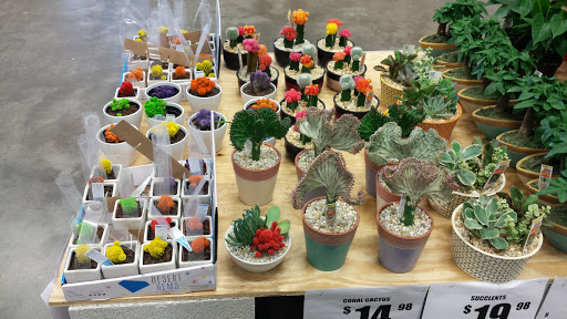 Home Improvement Store «The Home Depot», reviews and photos, 11001 Pines Blvd, Pembroke Pines, FL 33026, USA