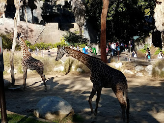 Old LA Zoo Picnic Area