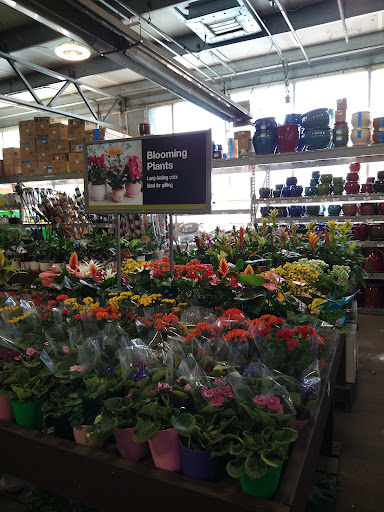 Home Improvement Store «The Home Depot», reviews and photos, 14549 Ramona Ave, Chino, CA 91710, USA