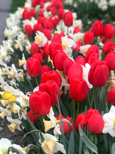 Park «Denny Park», reviews and photos, 100 Dexter Ave N, Seattle, WA 98109, USA