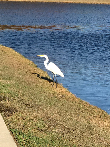 Park «Waterview Park», reviews and photos, 1700 Whitecliff Dr, Duncanville, TX 75137, USA