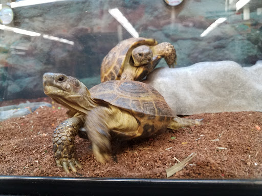 Pet Supply Store «Petco Animal Supplies», reviews and photos, 10 Sylvan St, Peabody, MA 01960, USA