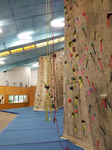 Gym «The Gravity Vault - Indoor Rock Gym», reviews and photos, 107 Pleasant Ave, Upper Saddle River, NJ 07458, USA