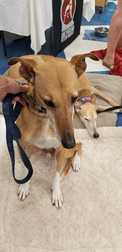 Pet Supply Store «Petco Animal Supplies», reviews and photos, 2277 Ford Pkwy, St Paul, MN 55116, USA