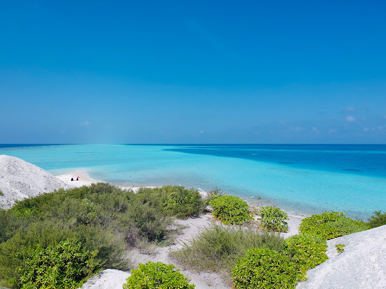 Velifaru island Beach