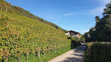 Photo Appartamento vacanze Kofler Hof 39040 Tramin an der Weinstraße (miniature)