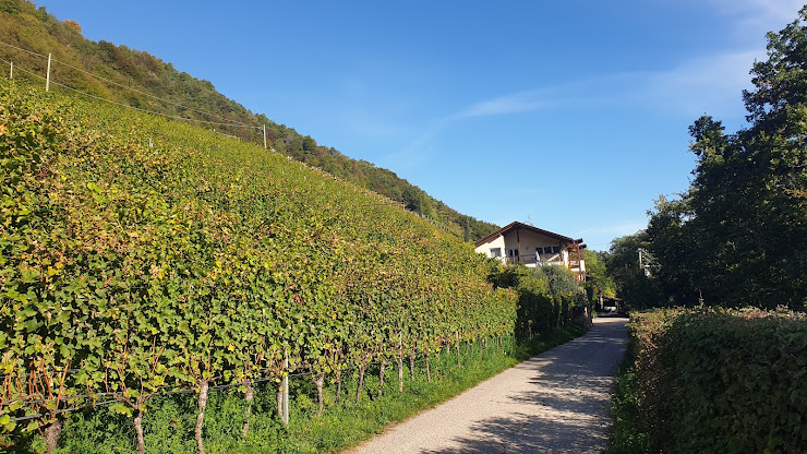 Photo Appartamento vacanze Kofler Hof 39040 Tramin an der Weinstraße