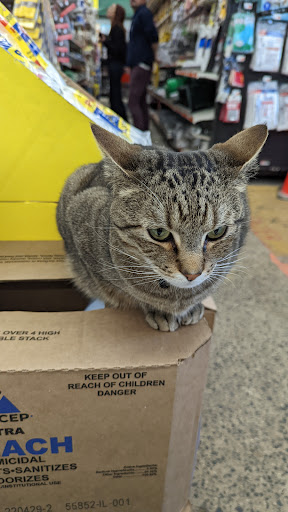 Hardware Store «Aubuchon Hardware», reviews and photos, 50 Enon St, Beverly, MA 01915, USA