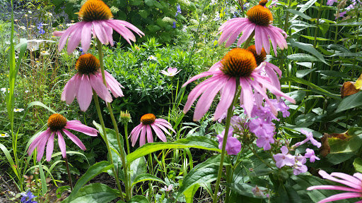 Towing Service «Abel Towing Wrecker & Auto Service», reviews and photos, 1717 Belvidere St, Waukegan, IL 60085, USA