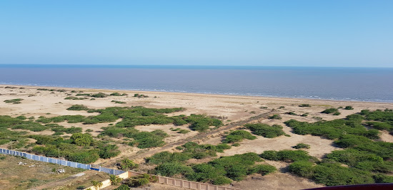 Point Calimere Beach