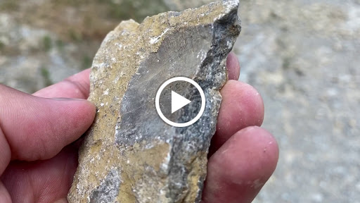 Park «Trammel Fossil Park», reviews and photos, Tramway Dr, Sharonville, OH 45241, USA