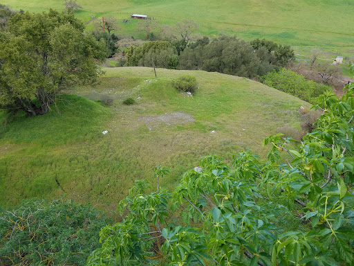 Coyote Valley Sporting Clays image