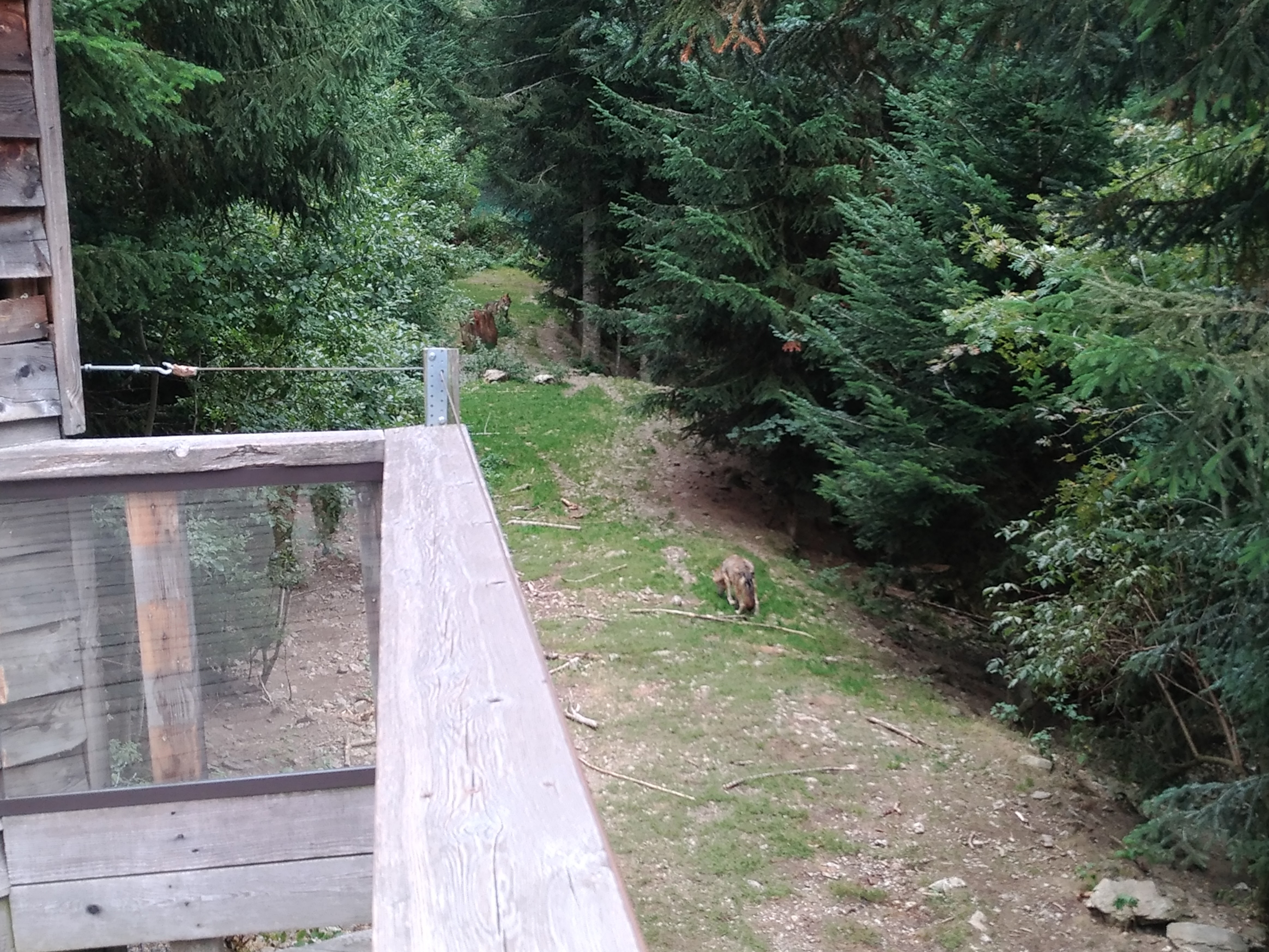 Photo n° 6 de l'avis de Guillaume.. fait le 20/09/2017 à 17:20