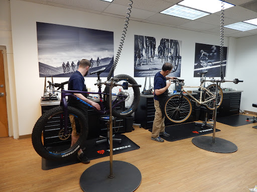 Bicycle Repair Shop «Bicycles East», reviews and photos, 331 New London Turnpike, Glastonbury, CT 06033, USA