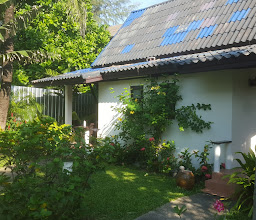 Coconut Garden, Kamala Beach photo