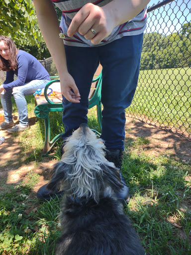 Dog Park «Murfreesboro Bark Park», reviews and photos, 1540 W College St, Murfreesboro, TN 37130, USA