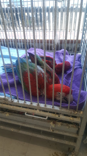 Pet Store «Tanks Pet Supply», reviews and photos, 628 S Main St, Princeton, IL 61356, USA