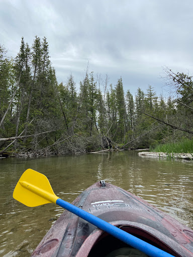 Canoe & Kayak Rental Service «Crystal River Outfitters Recreational District», reviews and photos, 6249 River Rd, Glen Arbor, MI 49636, USA