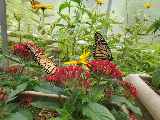 Botanical Garden «Beech Creek Botanical Garden & Nature Preserve», reviews and photos, 11929 Beech St NE, Alliance, OH 44601, USA