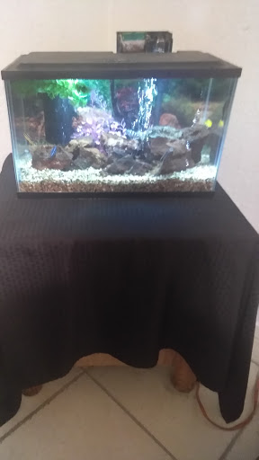 Pet Supply Store «Petco Animal Supplies», reviews and photos, 2140 W Cleveland Ave #100, Madera, CA 93637, USA