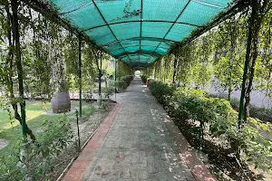 Balaji Naturecure Wellness Center image