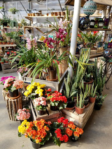 Florist «Bittersweet Flower Market», reviews and photos, N3075 WI-16, La Crosse, WI 54601, USA