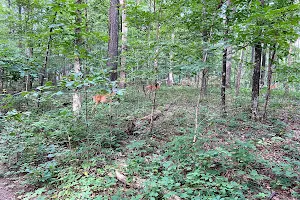 Monte Sano State Park image