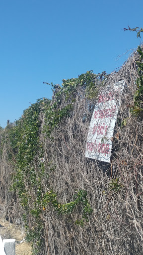 Public Golf Course «Chester Washington Golf Course», reviews and photos, 1818 Charlie Sifford Dr, Los Angeles, CA 90047, USA