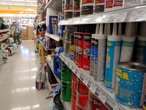 Hardware Store «Ace Hardware Palm Harbor», reviews and photos, 35125 US Hwy 19 N, Palm Harbor, FL 34684, USA