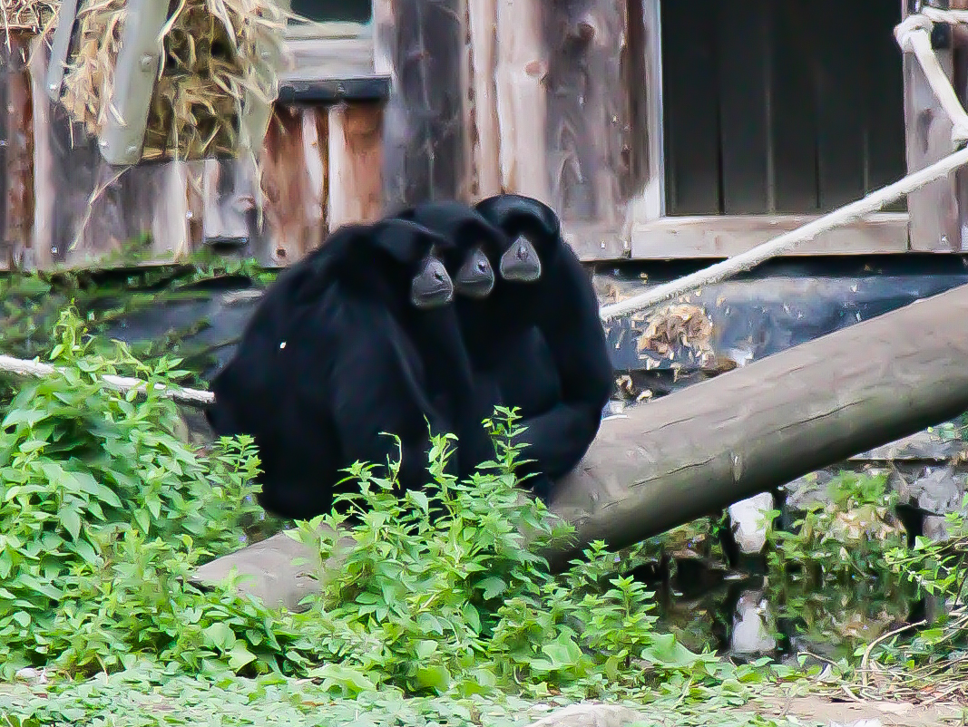 Photo n° 10 de l'avis de Cynthia.l fait le 21/07/2022 à 17:10