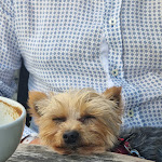 Photo n°1 de l'avis de Ingrid.e fait le 13/09/2023 à 09:49 sur le  Cotidiano Promenadeplatz à Munich