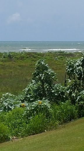 Golf Club «Palmilla Beach Golf Club», reviews and photos, 258 Snapdragon, Port Aransas, TX 78373, USA