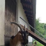 Photo n°8 de l'avis de Andreas.e fait le 20/05/2018 à 14:02 sur le  Gimbacher Hof à Kelkheim