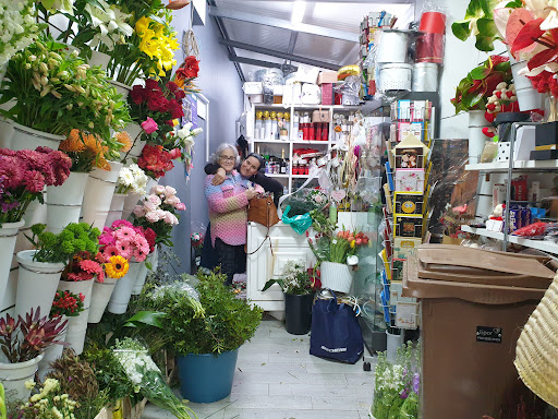 Lojas de flores típicas Oporto