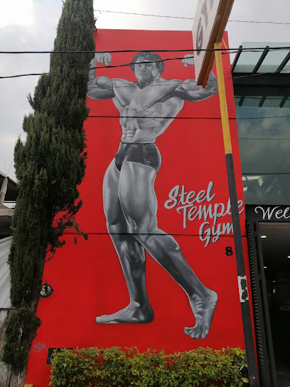 STEEL TEMPLE GYM - Ing. Pascual Ortiz Rubio 70, Julián Bonavit, 58219 Morelia, Mich., Mexico