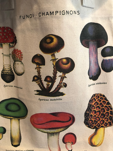 Gift Shop «Main Street Shop Coffeehouse», reviews and photos, 4288 Main St, Chincoteague Island, VA 23336, USA