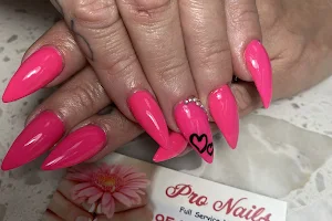 Pro Nails image