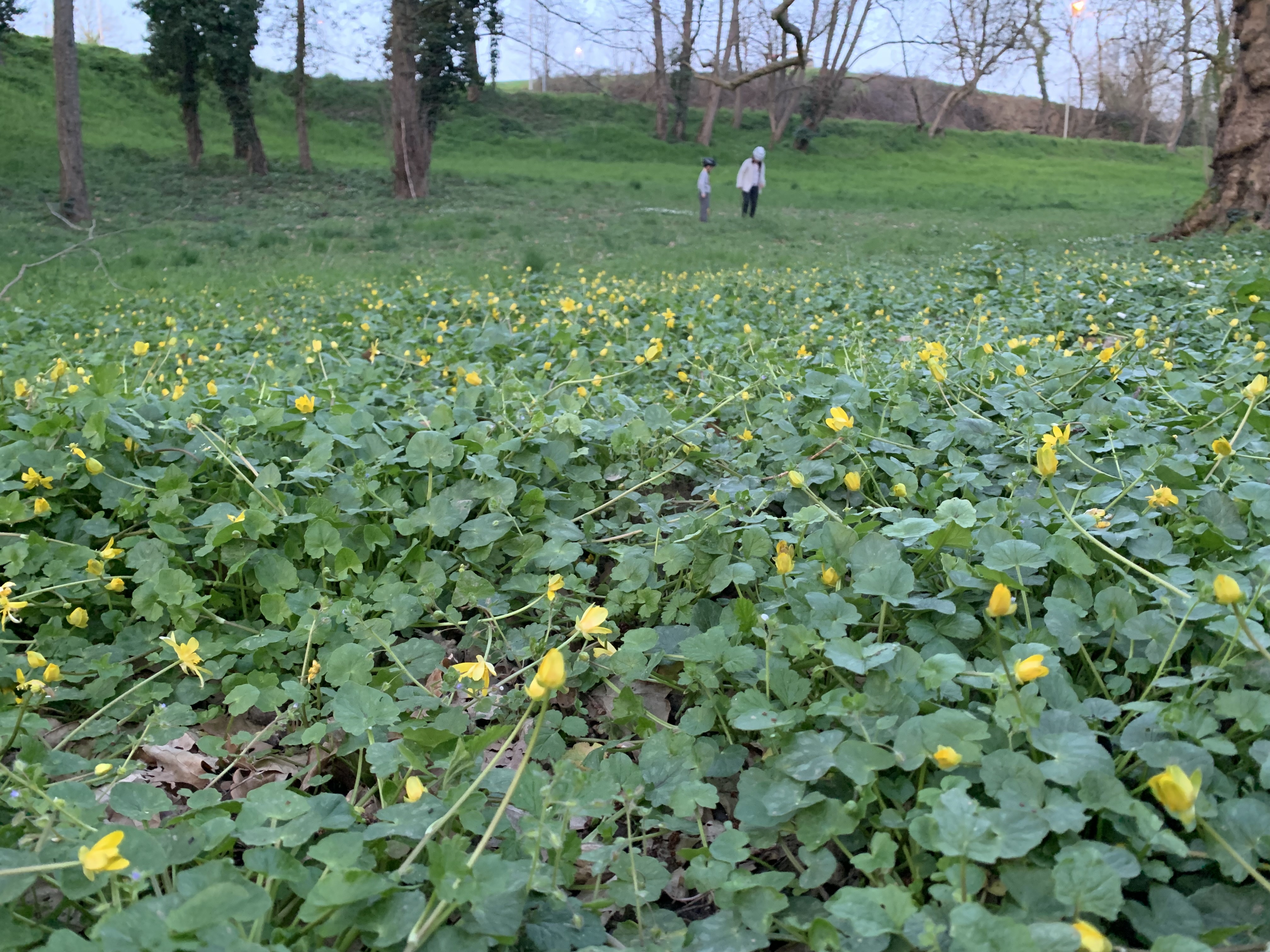 Photo n° 1 de l'avis de benacquista.a fait le 27/03/2022 à 17:13