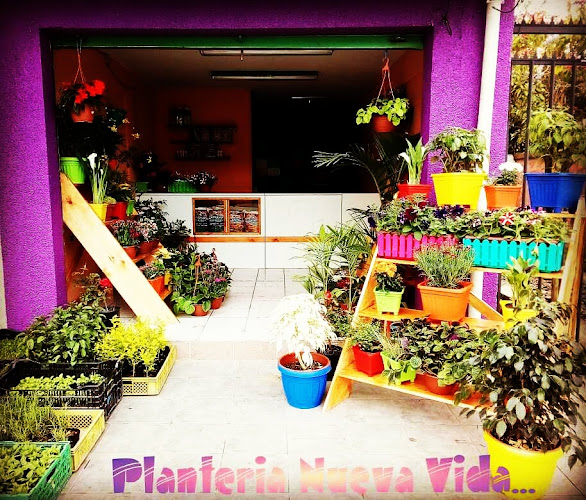 Planteria Nueva Vida - Tienda de muebles