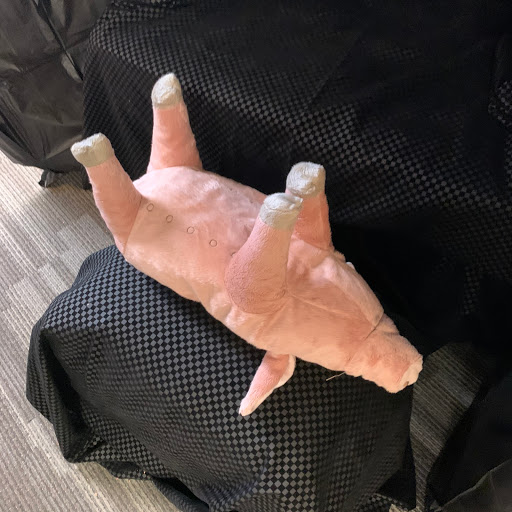 Personal Injury Attorney «Bart Durham Injury Law», reviews and photos