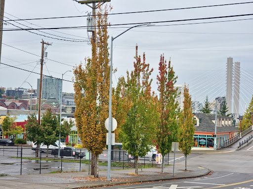 Explore ambigram tattoo ideas, creative tattoo ideas in Tacoma, available at Ravens Claw Tattoo & Gallery