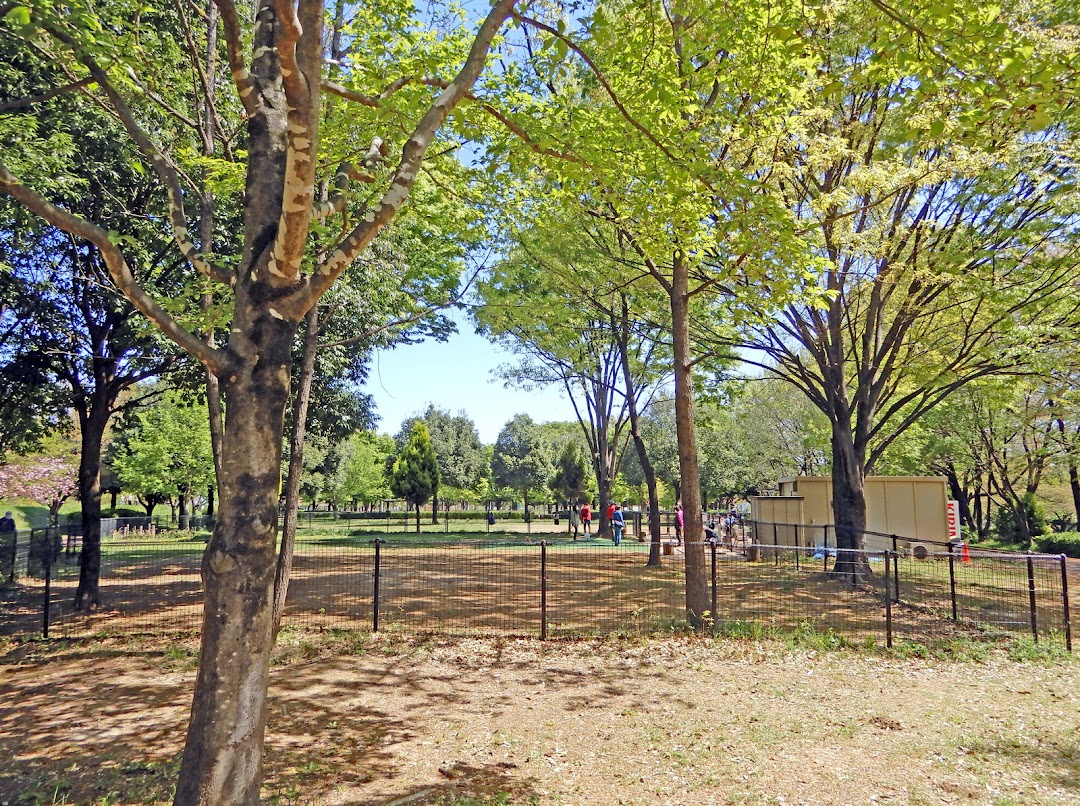 川越水上公園ドッグラン