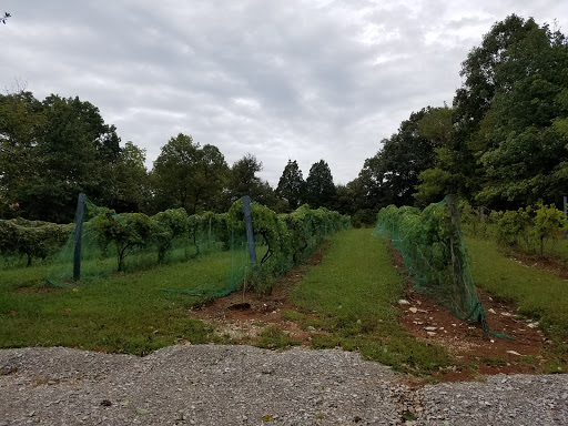 Winery «Scout Mountain Farm & Hideaway», reviews and photos, 2145 Scout Mountain Rd NW, Corydon, IN 47112, USA