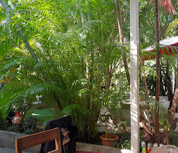 Linda Guesthouse photo