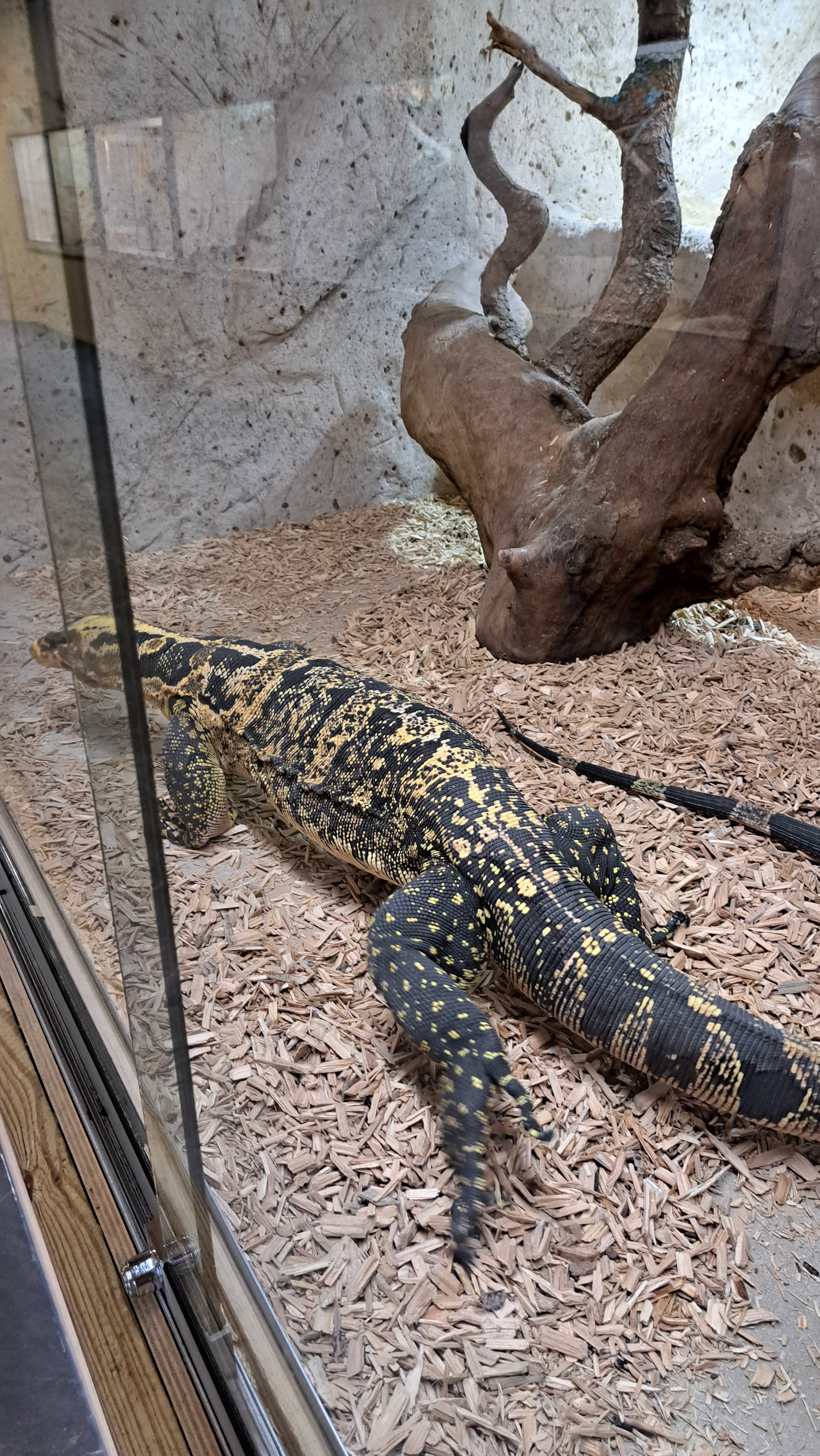 Photo n° 1 de l'avis de gijsbert. fait le 15/08/2023 à 14:08